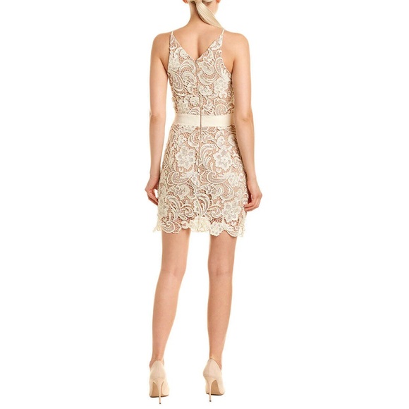 Dress The Population White and Nude Lace Ava Dress - V Neck Mini - Picture 16 of 16